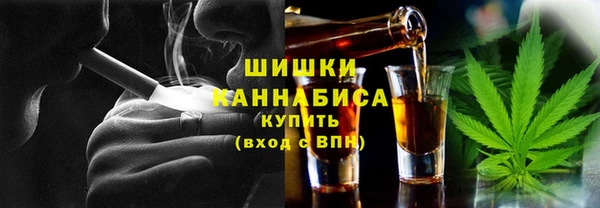 стаф Арсеньев