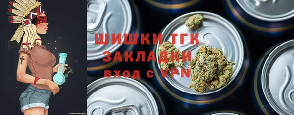 стаф Арсеньев