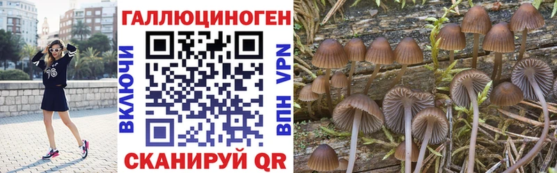 продажа наркотиков  Касли  Псилоцибиновые грибы прущие грибы 